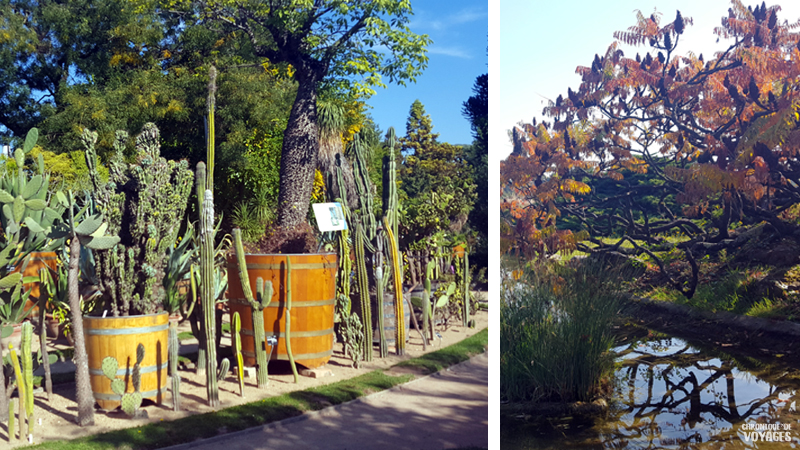 Parc de la tête d'Or à Lyon