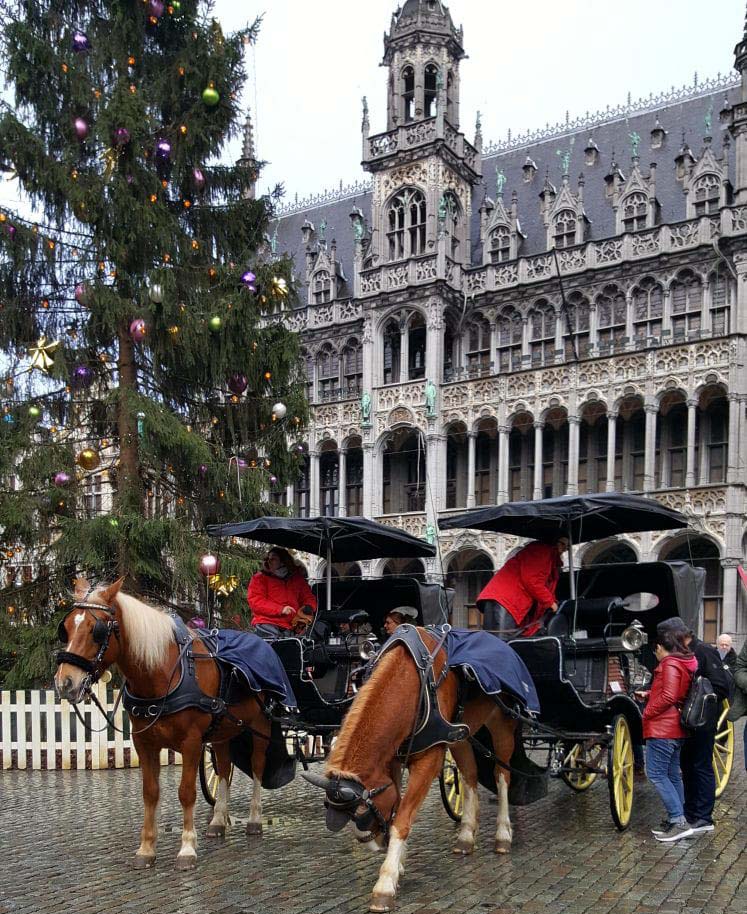 chevaux-grand-place-noel-bruxelles