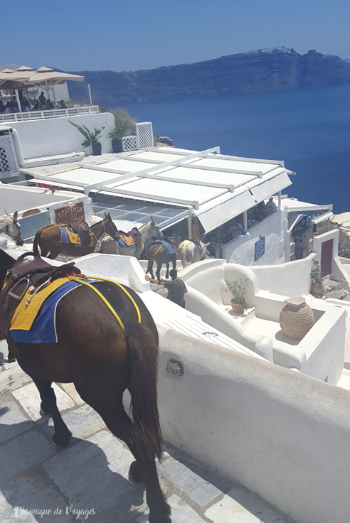 La Grèce et les Cyclades : 3 jours pour visiter Santorin !