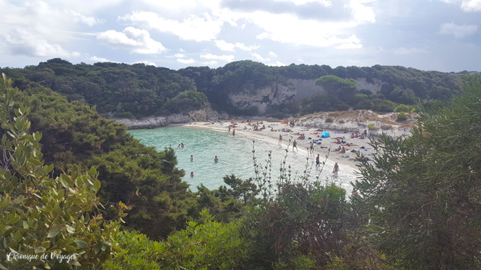 Bonifacio à Porto-Vecchio : les 6 plus belles plages de la Corse du Sud !