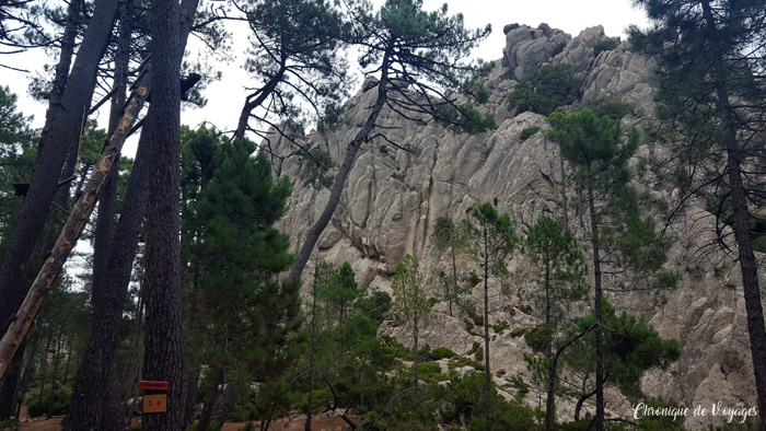 Via ferrata corse