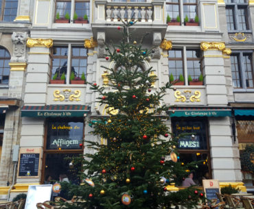 Sapin Grand-Place de Bruxelles à Noel